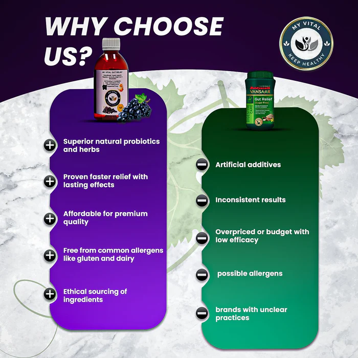 My Vital Gut Relief - Supports Digestion, Immunity, Weight Loss & Metabolism - Image 2